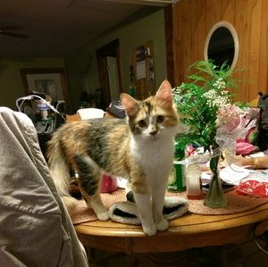 Meet your Posher, Catherine